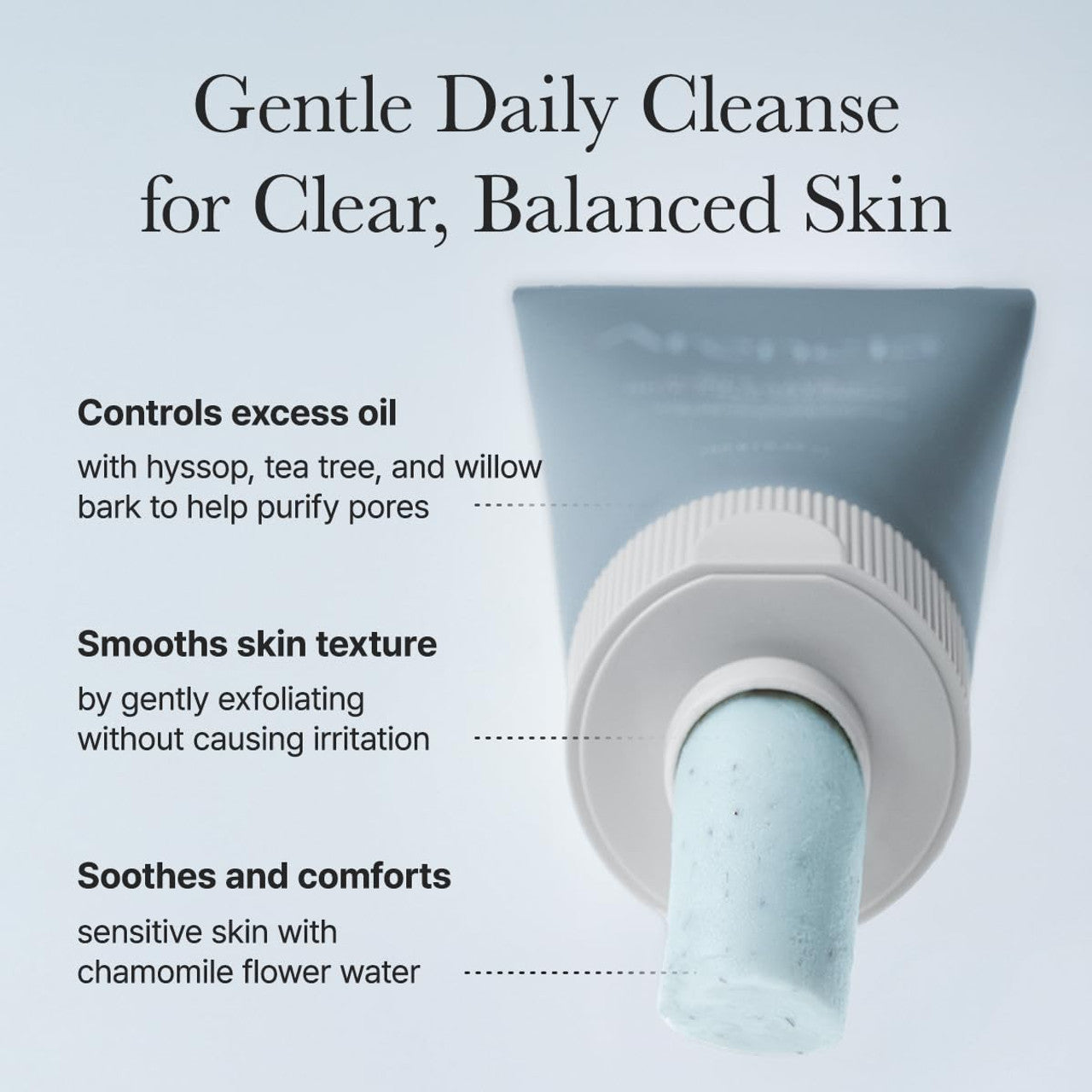 Arencia - Hyssop Sebum Control Rice Cake Cleanser (150g)